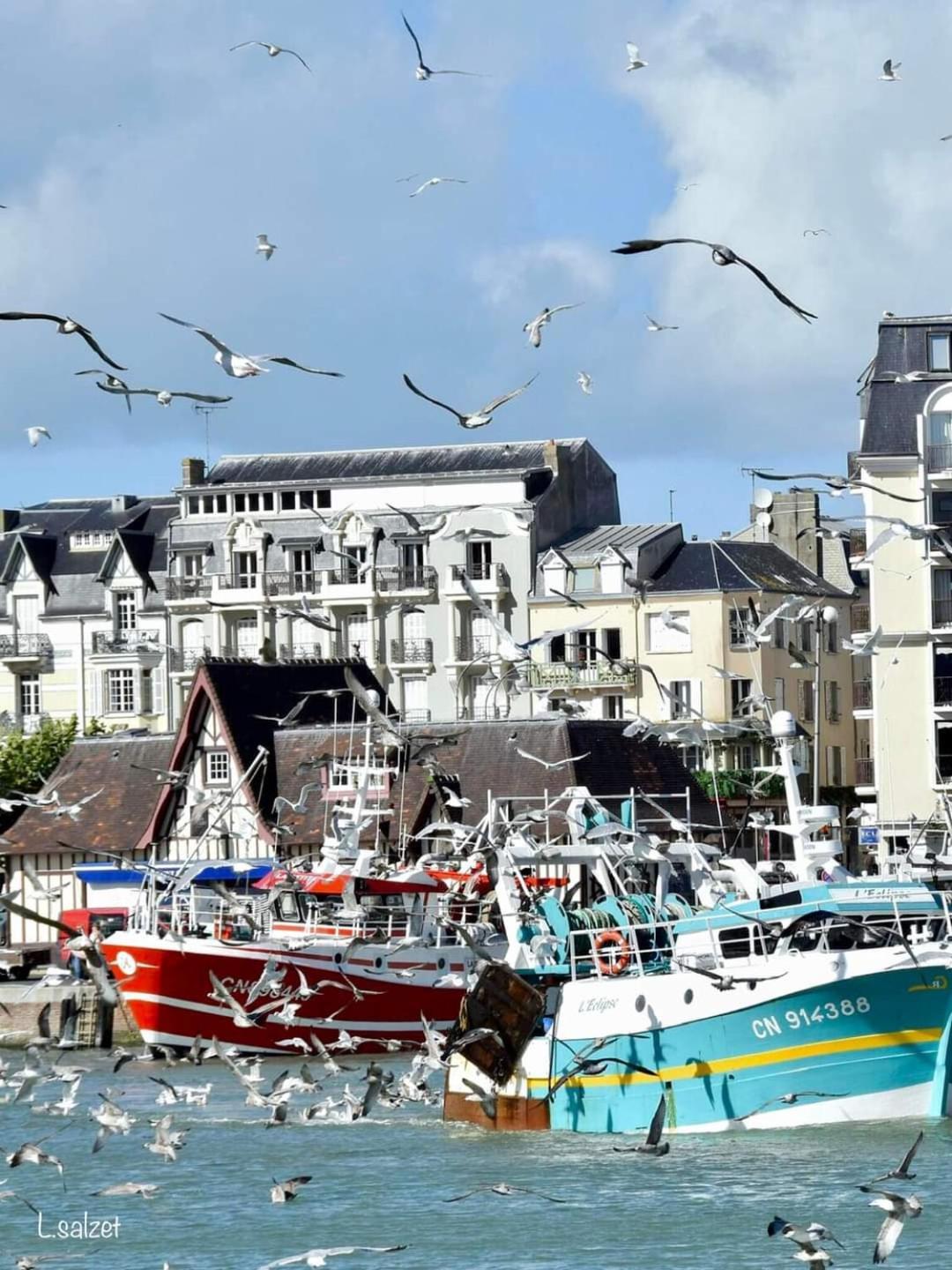 Studio de charme à Trouville sur mer. Eksteriør bilde